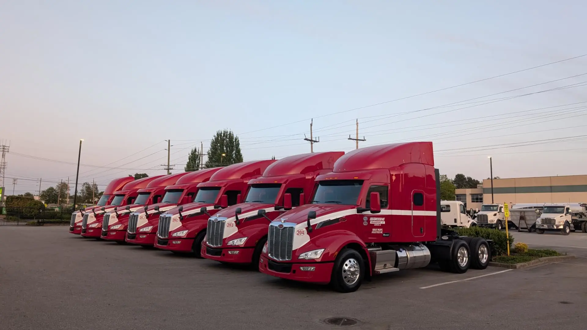 Peterbilt fleet on the highway